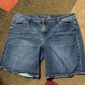 Lane Bryant Dark Blue Bermuda Shorts